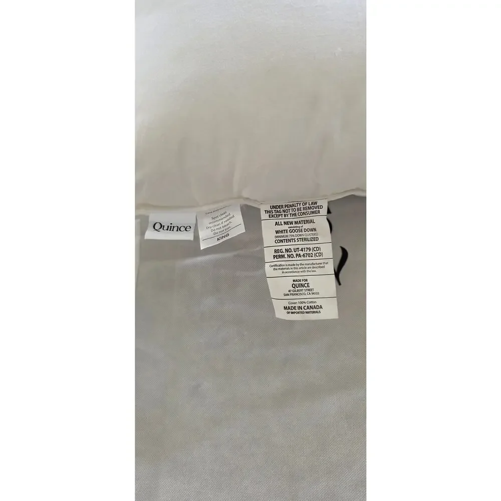 Quince Luxe King Goose Down Soft Pillow - NEW